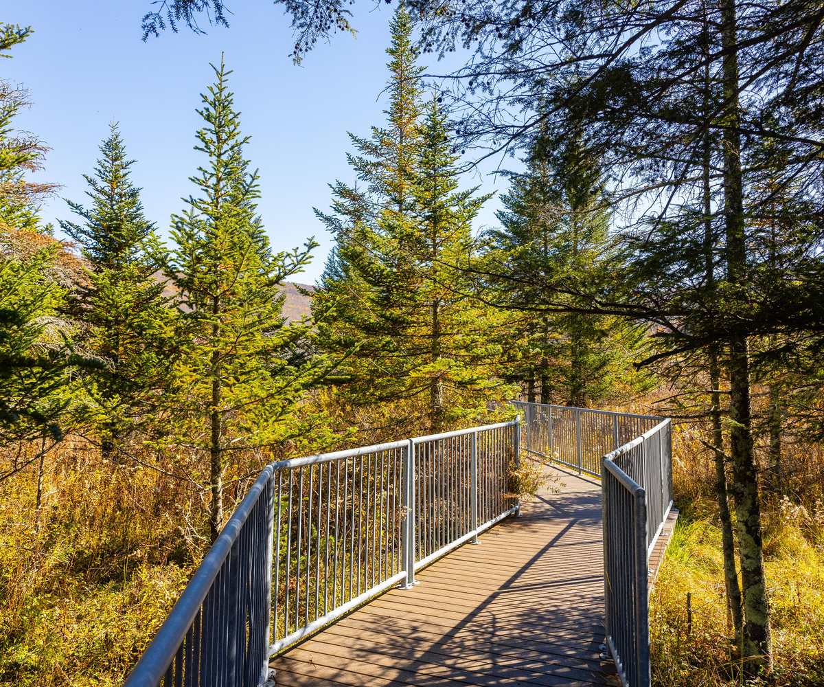 Hikers at the Lindy Point overlook in Blackwater Falls State Park