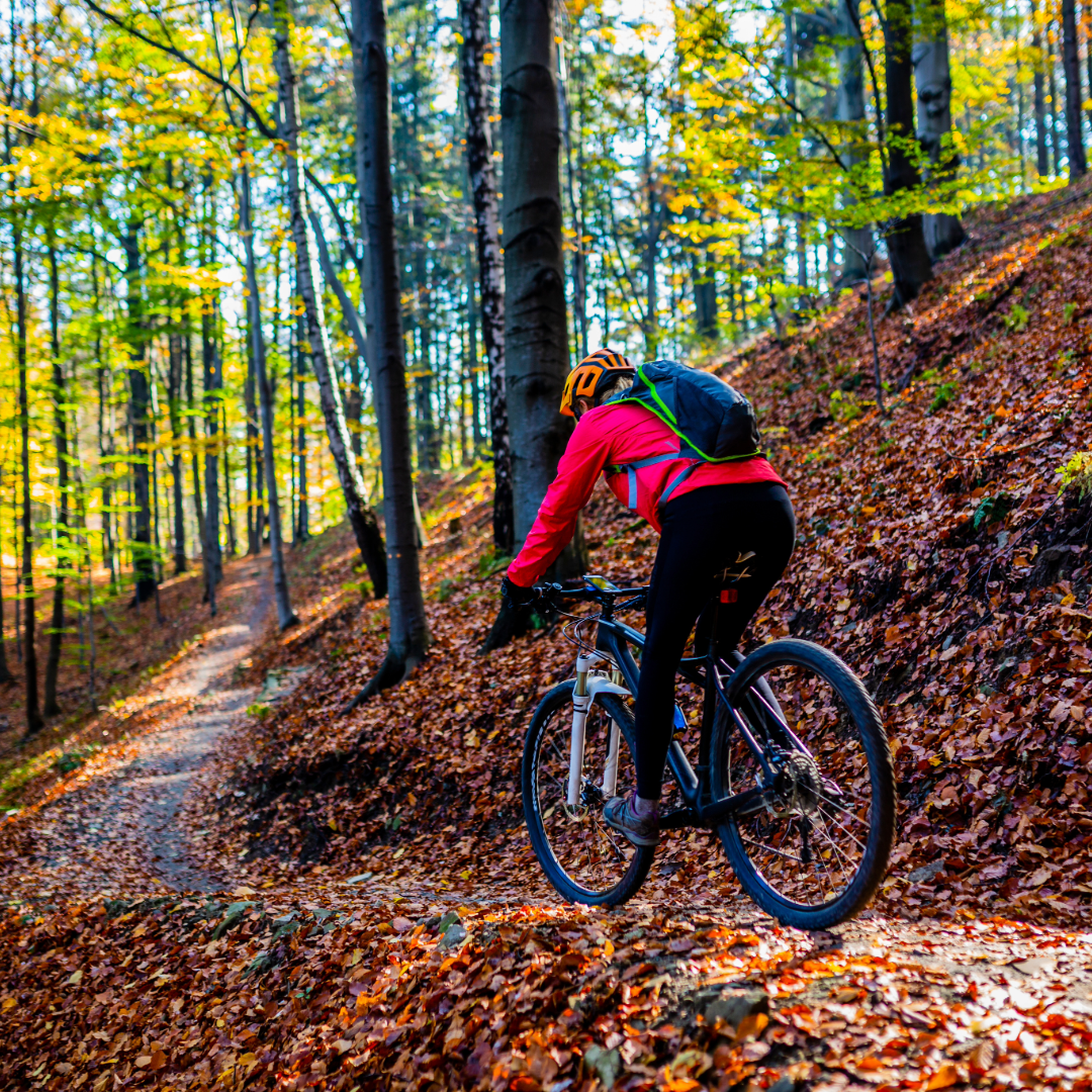 Mountain biker on Plantation Trail in Tucker County